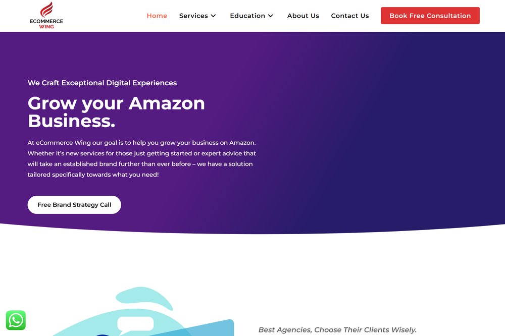 The old eCommerceWing website